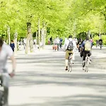 Hotel Hyatt Regency Amsterdam