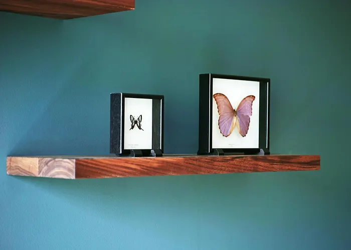 Hyatt Regency Отель